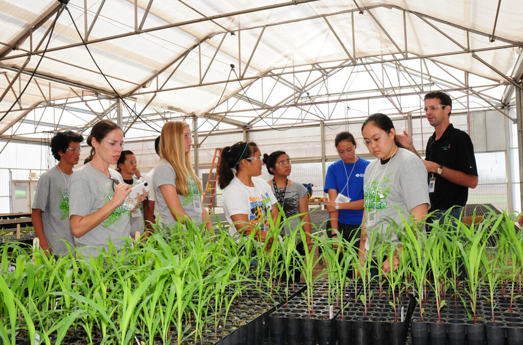 Youth Alliance Learns About Seed Corn Research