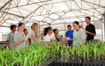 Youth Alliance Learns About Seed Corn Research