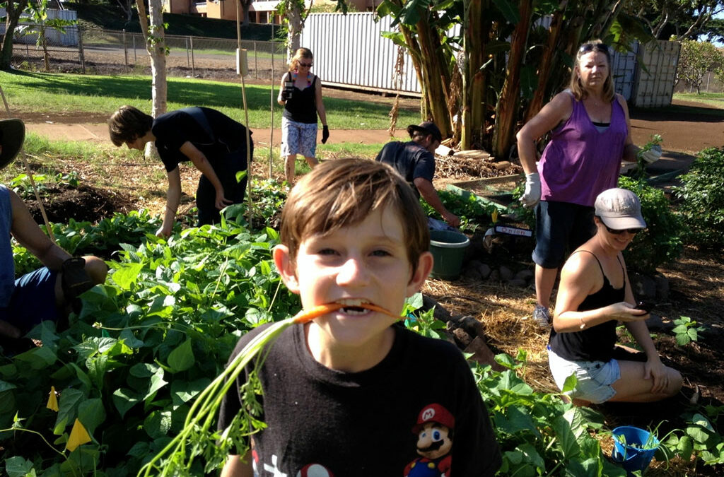 Garden Grows on Kihei Elementary’s Keiki