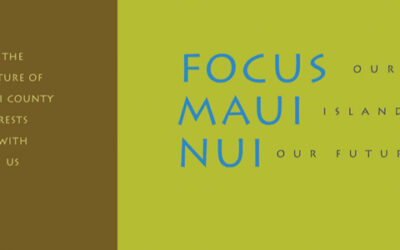Focus Maui Nui showcases community values