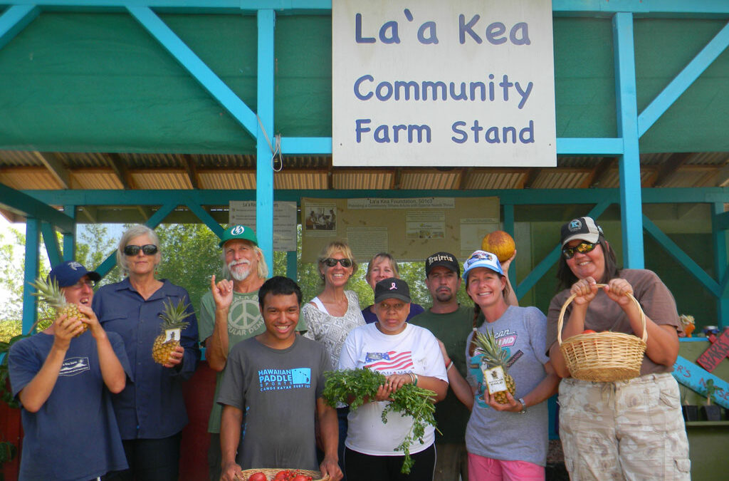 USDA certified organic farm community grows under the rainbow