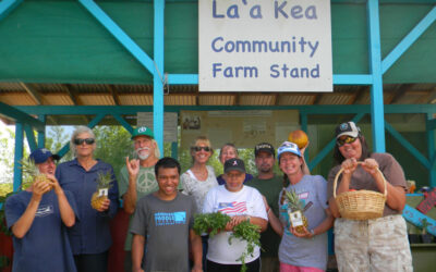 USDA certified organic farm community grows under the rainbow