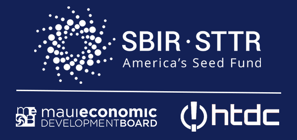 Overview of the SBIR Program