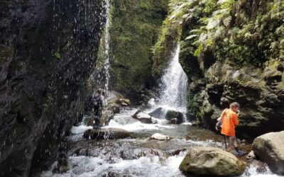 Protecting West Maui’s Watershed